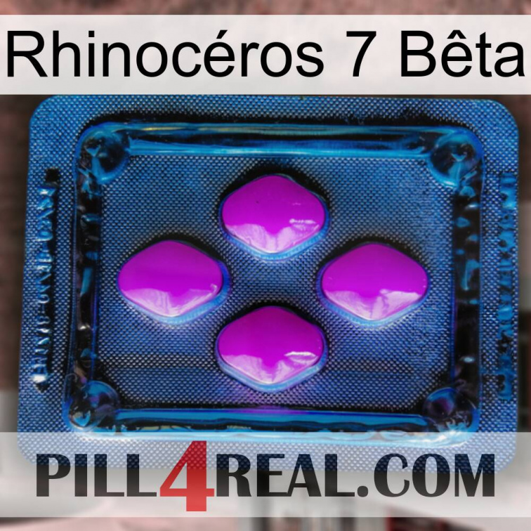 Rhinocéros 7 Bêta 04